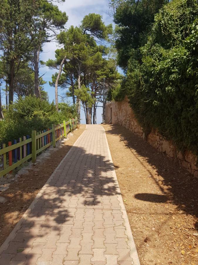 Apartment Zdenka Veli Losinj Ngoại thất bức ảnh
